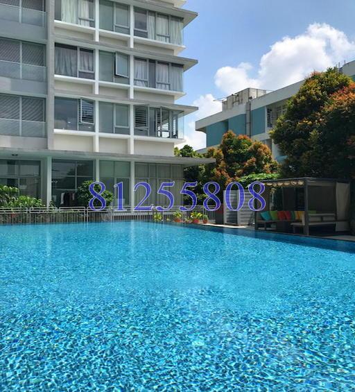 D' Chateau @ Shelford (D11), Apartment #149614622